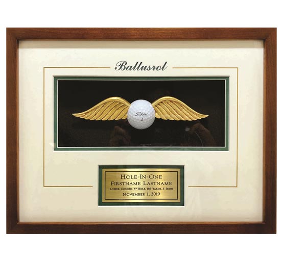 Custom 3D HIO Award